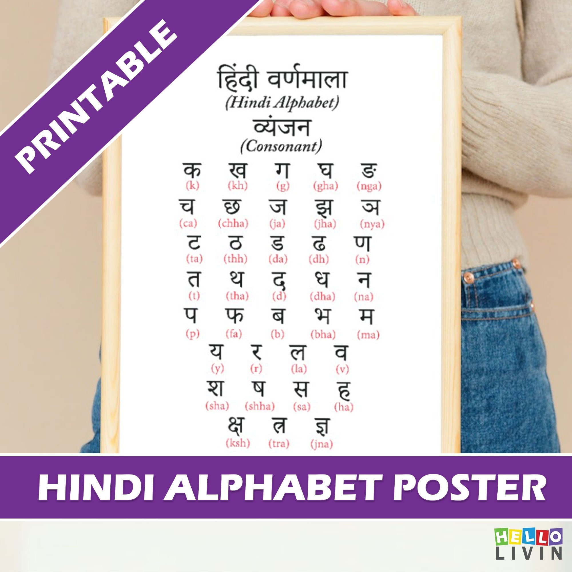 Hindi Alphabet Wall Chart