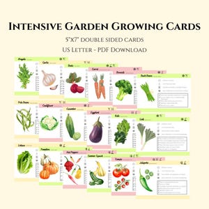 Cartes de culture jardinage intensif 5 x 7 recto-verso