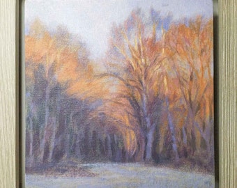 Sunlit trees frosty morning, original oil painting framed