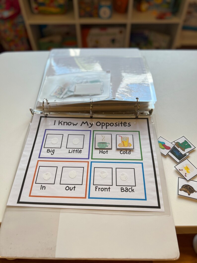 The Enhanced Learning Binder, Toddler Learning Binder, Preschool