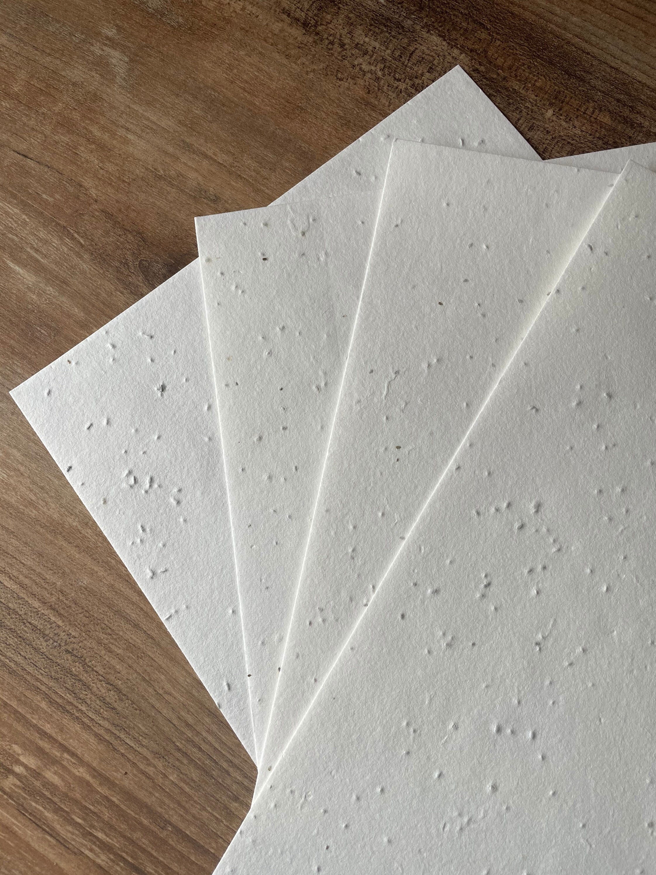 Seeded plantable paper A4/5/6. Eco friendly. Zero waste. | Etsy