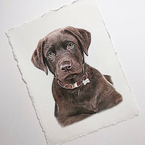 Ingelijst aangepast huisdierportret - volledige hond, kat