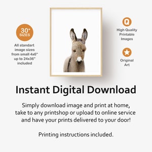 May include: A digital download of a printable image featuring a cute donkey with brown and white fur. The image is framed in a light wood frame and set against a white background. The text "Instant Digital Download" is displayed below the image.