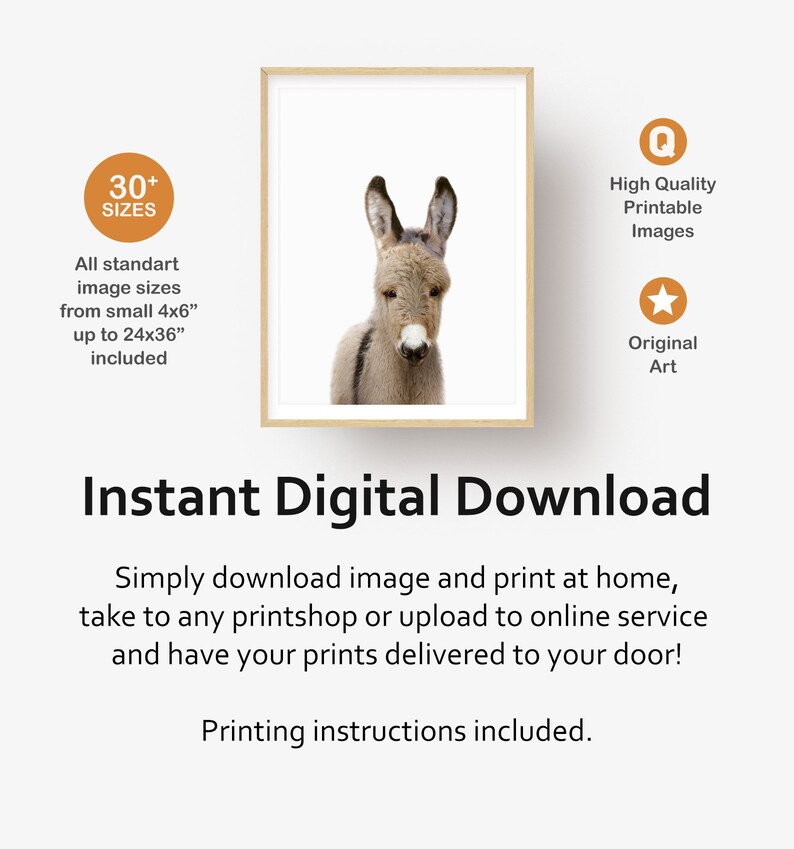 May include: A digital download of a printable image featuring a cute donkey with brown and white fur. The image is framed in a light wood frame and set against a white background. The text "Instant Digital Download" is displayed below the image.