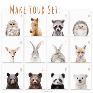Peut inclure: Un ensemble de 12 illustrations d'animaux imprimables. Les animaux comprennent un hibou, un cheval, un raton laveur, un h&eacute;risson, un cerf, un lapin, un renard, un ours, un panda et un ours polaire. Les illustrations sont de style cartoon et sont parfaites pour les chambres d'enfants ou les cr&egrave;ches.