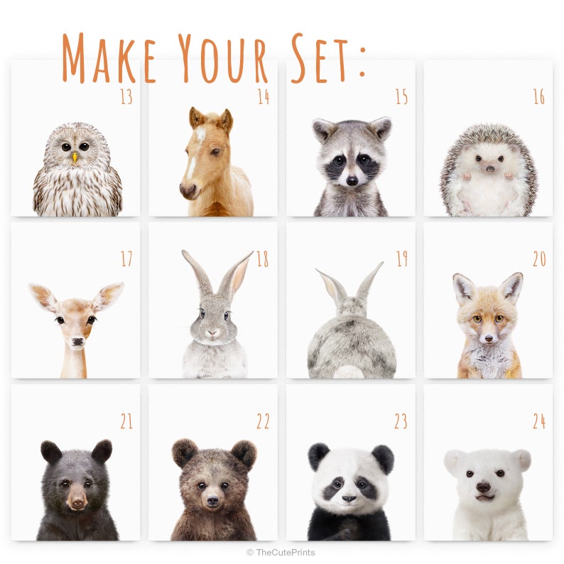 Peut inclure: Un ensemble de 12 illustrations d'animaux imprimables. Les animaux comprennent un hibou, un cheval, un raton laveur, un h&eacute;risson, un cerf, un lapin, un renard, un ours, un panda et un ours polaire. Les illustrations sont de style cartoon et sont parfaites pour les chambres d'enfants ou les cr&egrave;ches.