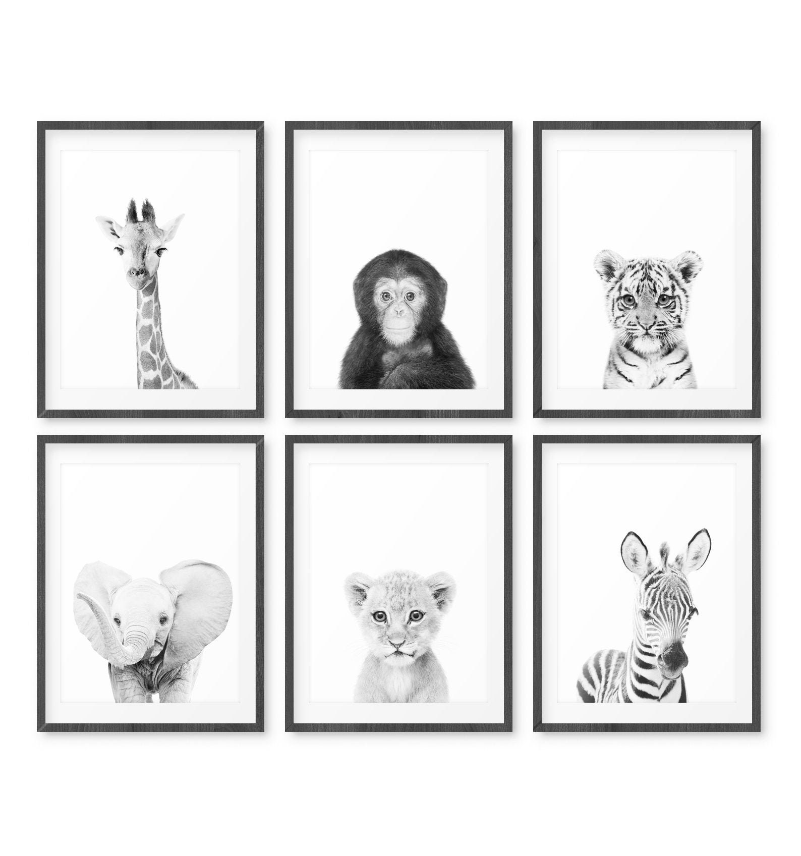 Set Of 6 Black And White Safari Nursery Animal Prints Etsy Ireland