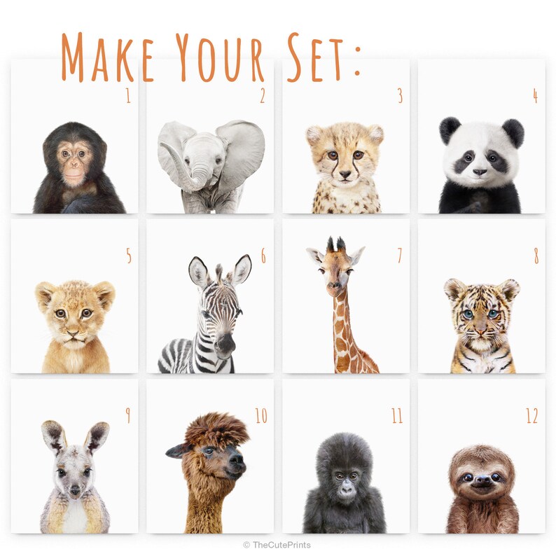 Peut inclure: Un ensemble de 12 illustrations d'animaux imprimables. Chaque illustration pr&eacute;sente un animal diff&eacute;rent, notamment un chimpanz&eacute;, un &eacute;l&eacute;phant, un gu&eacute;pard, un panda, un lion, un z&egrave;bre, une girafe, un tigre, un kangourou, un alpaga, un gorille et un paresseux. Les illustrations sont de style cartoon et sont parfaites pour les chambres d'enfants ou les cr&egrave;ches.