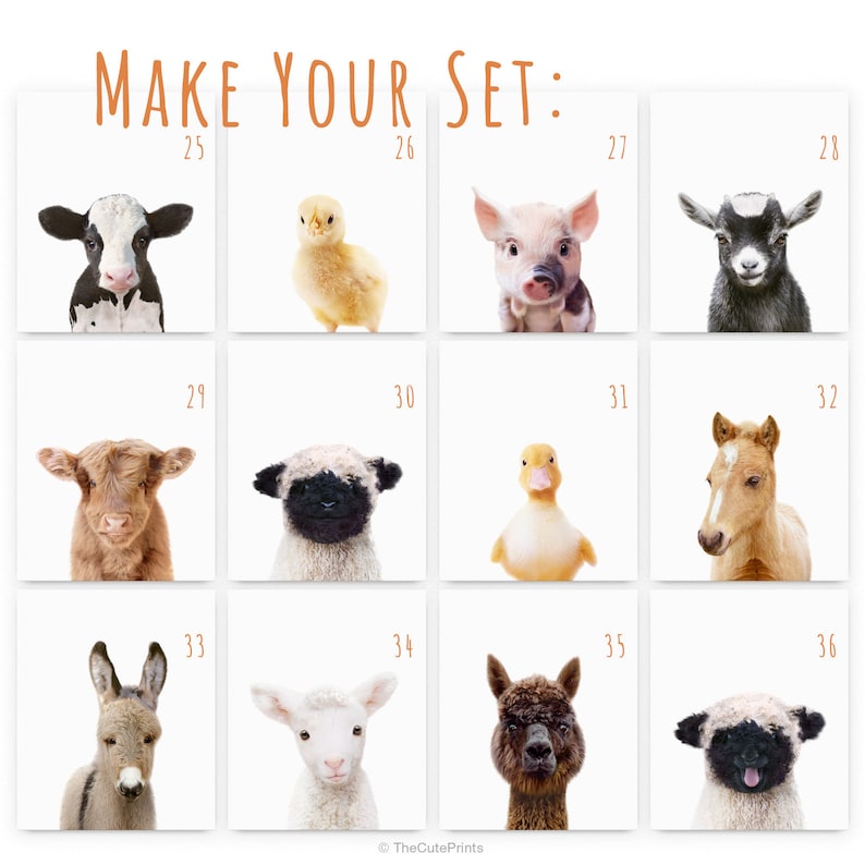 May include: A set of 12 printable images featuring adorable baby animals, including a cow, chick, pig, goat, highland cow, sheep, duckling, foal, donkey, lamb, alpaca, and sheep. Each image is numbered from 25 to 36.