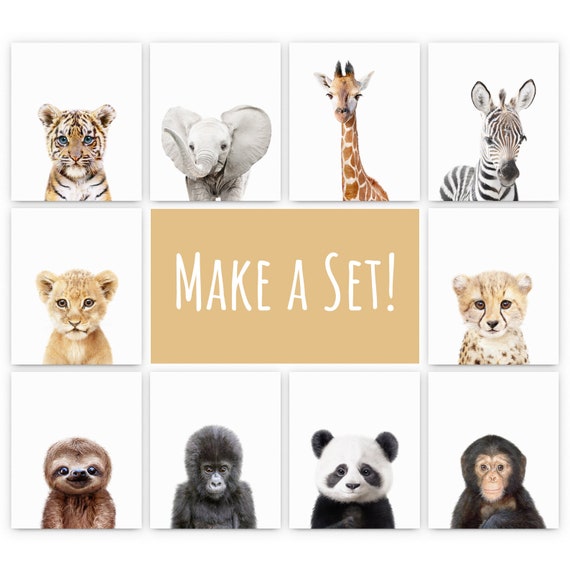 Baby Animal Prints, Safari Nursery Prints, Custom Set of 6 Nursery Animal Wall Art Digital Download