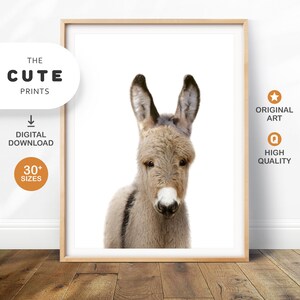 May include: A digital download of a cute, grey donkey with black stripes. The donkey has large ears and a white muzzle. The image is on a white background.
