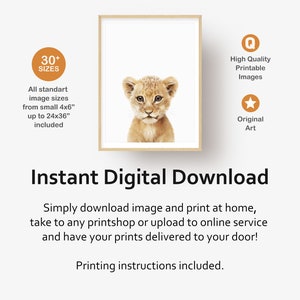 Peut inclure: T&eacute;l&eacute;chargement num&eacute;rique d'une illustration imprimable d'un adorable lionceau sur fond blanc. L'image est disponible en plus de 30 tailles, de 4x6 pouces &agrave; 24x36 pouces. L'image est de haute qualit&eacute; et imprimable.