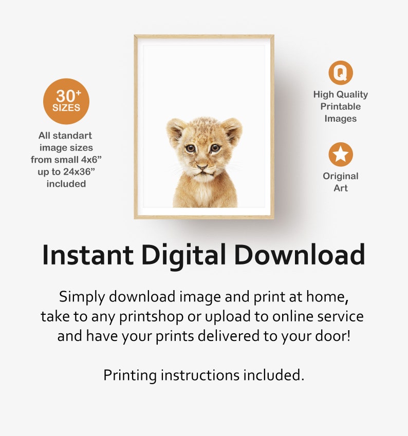 Peut inclure: T&eacute;l&eacute;chargement num&eacute;rique d'une illustration imprimable d'un adorable lionceau sur fond blanc. L'image est disponible en plus de 30 tailles, de 4x6 pouces &agrave; 24x36 pouces. L'image est de haute qualit&eacute; et imprimable.