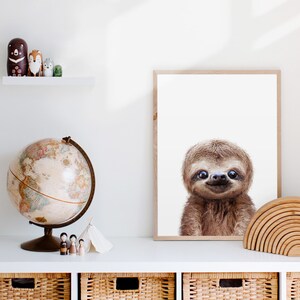May include: A framed print of a sloth with a white background. The sloth is looking directly at the camera and has a happy expression. The frame is made of wood and has a light brown finish.