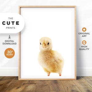 Chick Art Print, Printable Wall Art Nursery Decor Prints, Farm Baby Animal Poster