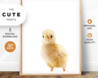 Foto Poster Regalo-Amantes de los animales Chick Art Print 'esperanza' pollo 