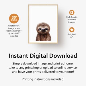 May include: Digital download of a printable sloth illustration. The sloth is brown and has a white background. The image is available in over 30 sizes, from 4x6 inches to 24x36 inches. The image is high quality and original art.