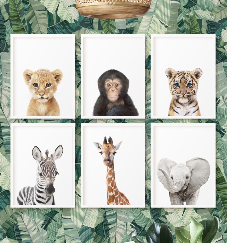 Jungle Animal Print Safari Nursery Print Set of 6 Baby Etsy