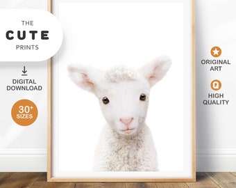 Lamb Print Farm Animal Printable Wall Art, Nursery Decor Baby Animal Prints