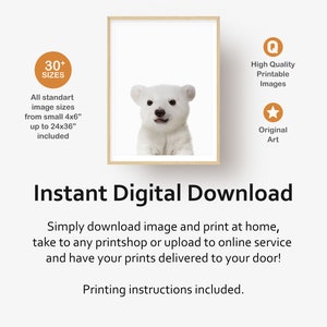 Puede incluir: Una descarga digital de una imagen imprimible que presenta un cachorro de oso polar blanco sobre un fondo blanco. La imagen est&aacute; disponible en m&aacute;s de 30 tama&ntilde;os, desde 4x6 pulgadas hasta 24x36 pulgadas. La imagen es de alta calidad e imprimible.