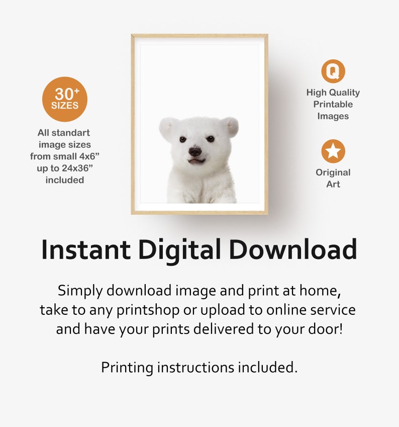 Puede incluir: Una descarga digital de una imagen imprimible que presenta un cachorro de oso polar blanco sobre un fondo blanco. La imagen est&aacute; disponible en m&aacute;s de 30 tama&ntilde;os, desde 4x6 pulgadas hasta 24x36 pulgadas. La imagen es de alta calidad e imprimible.