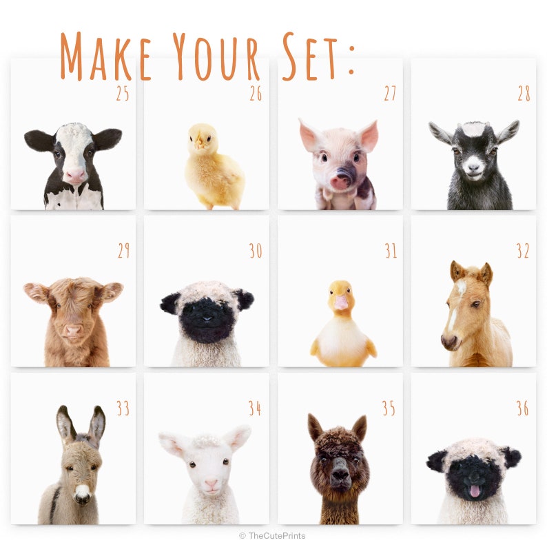 Peut inclure: Un ensemble de 12 images imprimables repr&eacute;sentant d'adorables b&eacute;b&eacute;s animaux, dont une vache, un poussin, un cochon, une ch&egrave;vre, une vache &eacute;cossaise, un mouton, un caneton, un poulain, un &acirc;ne, un agneau, un alpaga et un mouton. Chaque image est num&eacute;rot&eacute;e de 25 &agrave; 36.