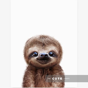 May include: A close-up of a brown sloth with big, round eyes and a small, black nose. The sloth is looking directly at the camera with a friendly expression. The background is white.