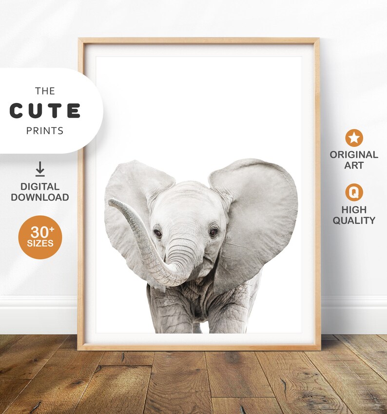 Elephant Print Nursery Wall Art Printable Baby Animal Prints Etsy