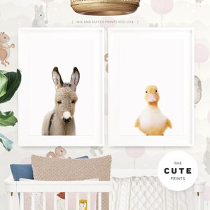 May include: Two framed prints of animal portraits. The print on the left features a brown and white donkey looking at the camera. The print on the right features a yellow duckling looking at the camera. The text "The Cute Prints" is visible below the prints.