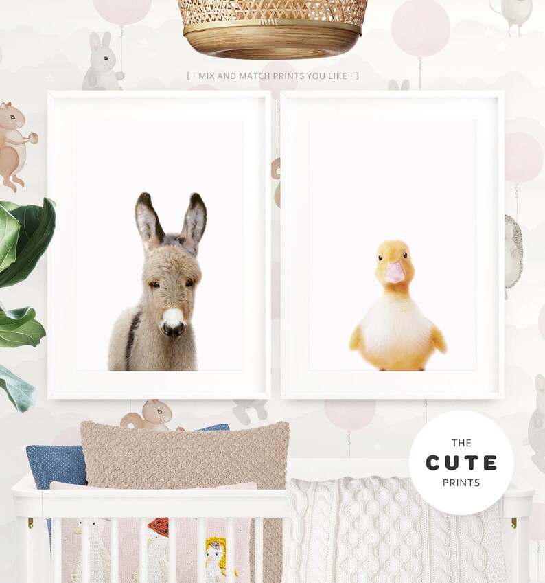 May include: Two framed prints of animal portraits. The print on the left features a brown and white donkey looking at the camera. The print on the right features a yellow duckling looking at the camera. The text "The Cute Prints" is visible below the prints.