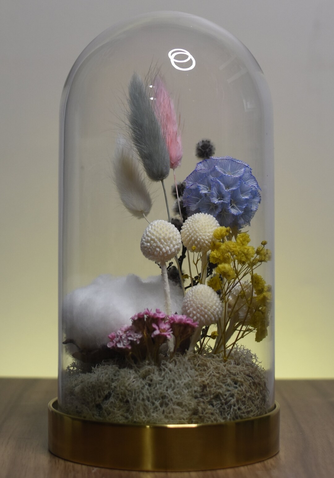Everlasting Dried Flowers in Glass Dome Etsy