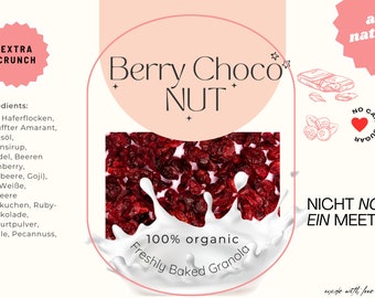 Zelfgemaakte Granola Chocolade Noten Pistache Cranberry Biologische Veganistische Kinderontbijtmuesli