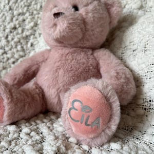 Personalised Teddy Bear / Custom Baby’s 1st Bear / Custom plush toy