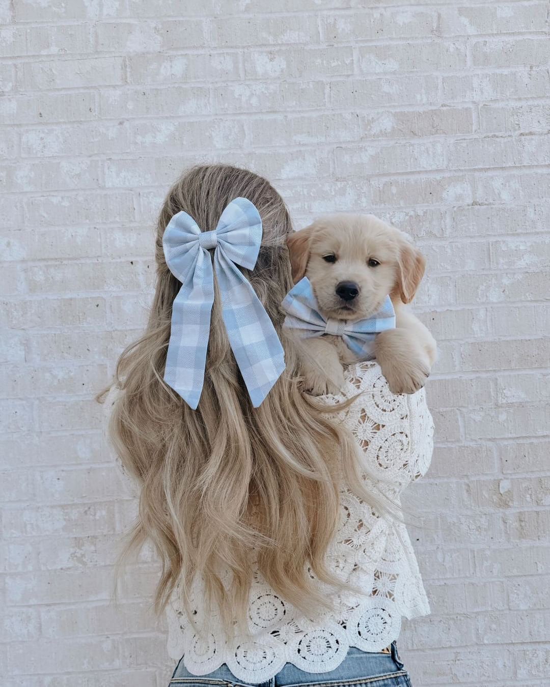 Matching Gingham Dog Bow and Hair Sailor Bow