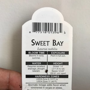 Op de afbeelding: Een wit plantenlabel met de tekst "SWEET BAY" en "Laurus nobilis". Het label geeft informatie over bloeitijd, blootstelling, waterbehoefte en hoogte, die 0,3-1,8 m is. Het bevat ook details over de winterhardheidszones.