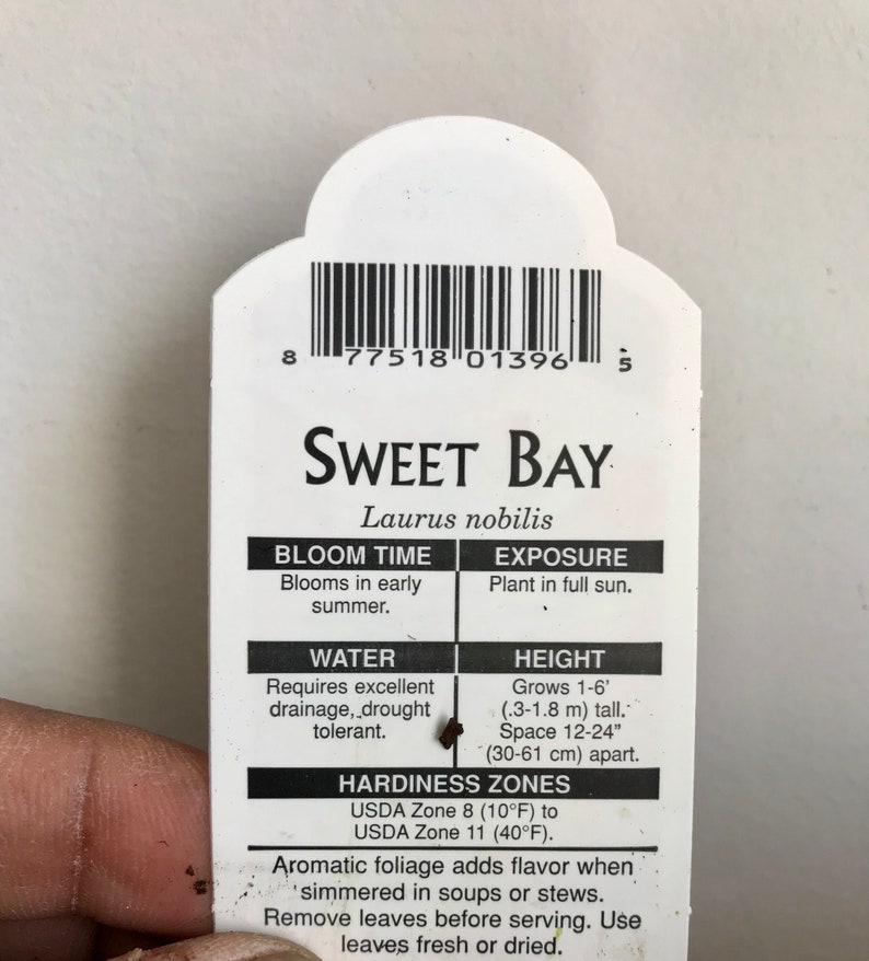 Op de afbeelding: Een wit plantenlabel met de tekst "SWEET BAY" en "Laurus nobilis". Het label geeft informatie over bloeitijd, blootstelling, waterbehoefte en hoogte, die 0,3-1,8 m is. Het bevat ook details over de winterhardheidszones.