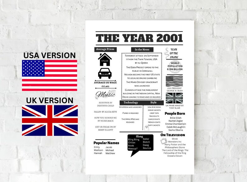 The Year 2001 2001 Birthday Sign Born In 2001 Trivia Fun Facts 2001 Birthday Gift image 1