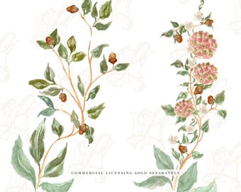 Thanksgiving Chinoiserie Trees , Watercolor Illustration Clipart Package - Stationery Transparent PNG Files