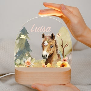 Pferde Geschenk für Mädchen Acryl Nachtlicht individuelle Nachtlampen mit Namen Geburtsgeschenk Babygeschenk Taufgeschenk Weihnachtsgeschenk