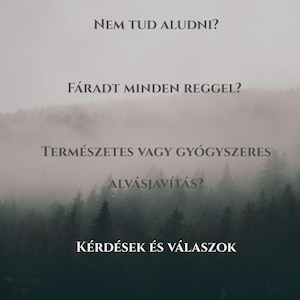 May include: A misty forest scene with white text overlay. The text asks, "Can't sleep?" and "Tired every morning?" It also poses questions about natural or medicinal sleep improvement, and ends with "Questions and Answers."