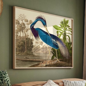 Obra de arte de garza azul: Decoración de pared con motivos de fauna silvestre (marco de madera natural o negro) imagen 1