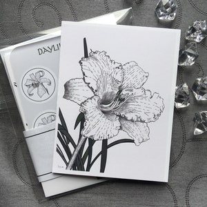 Papeterie - Ensemble de cartes de réception / cartes postales (4) et 1 mini-pack d’autocollants, Daylily Flower Line Art. cadeau.