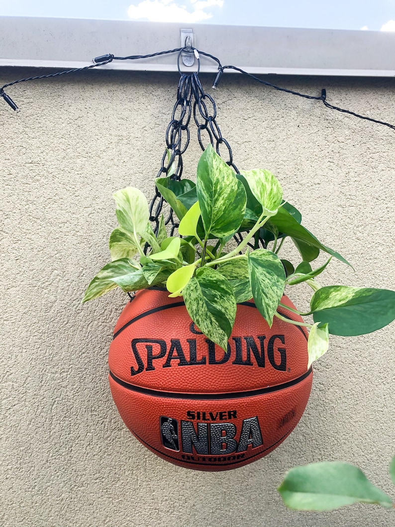 Basketball Planter and Plant Hanger Official NBA Spalding Etsy