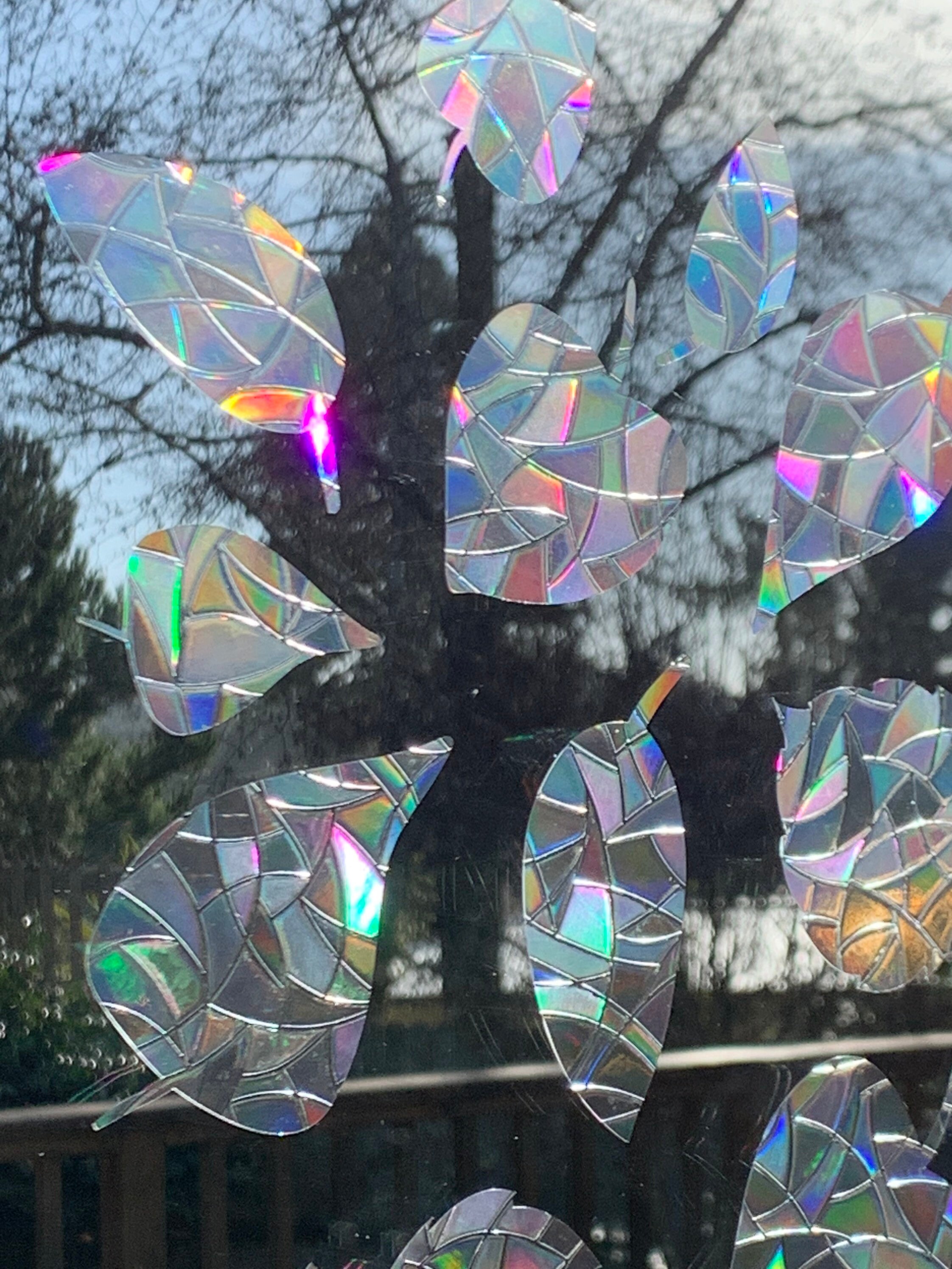 Leaf Window Prisms // Rainbow Sticker // Prism Window // Etsy