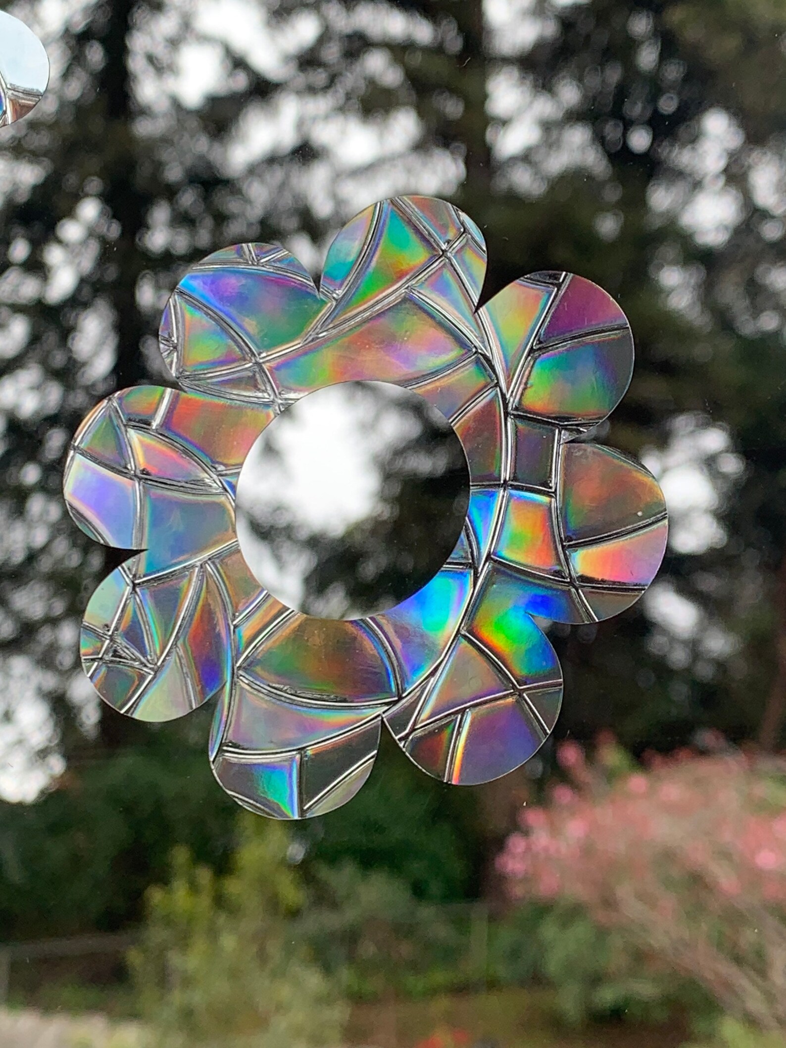 Daisy Window Prisms // Rainbow Sticker // Prism Window // Etsy