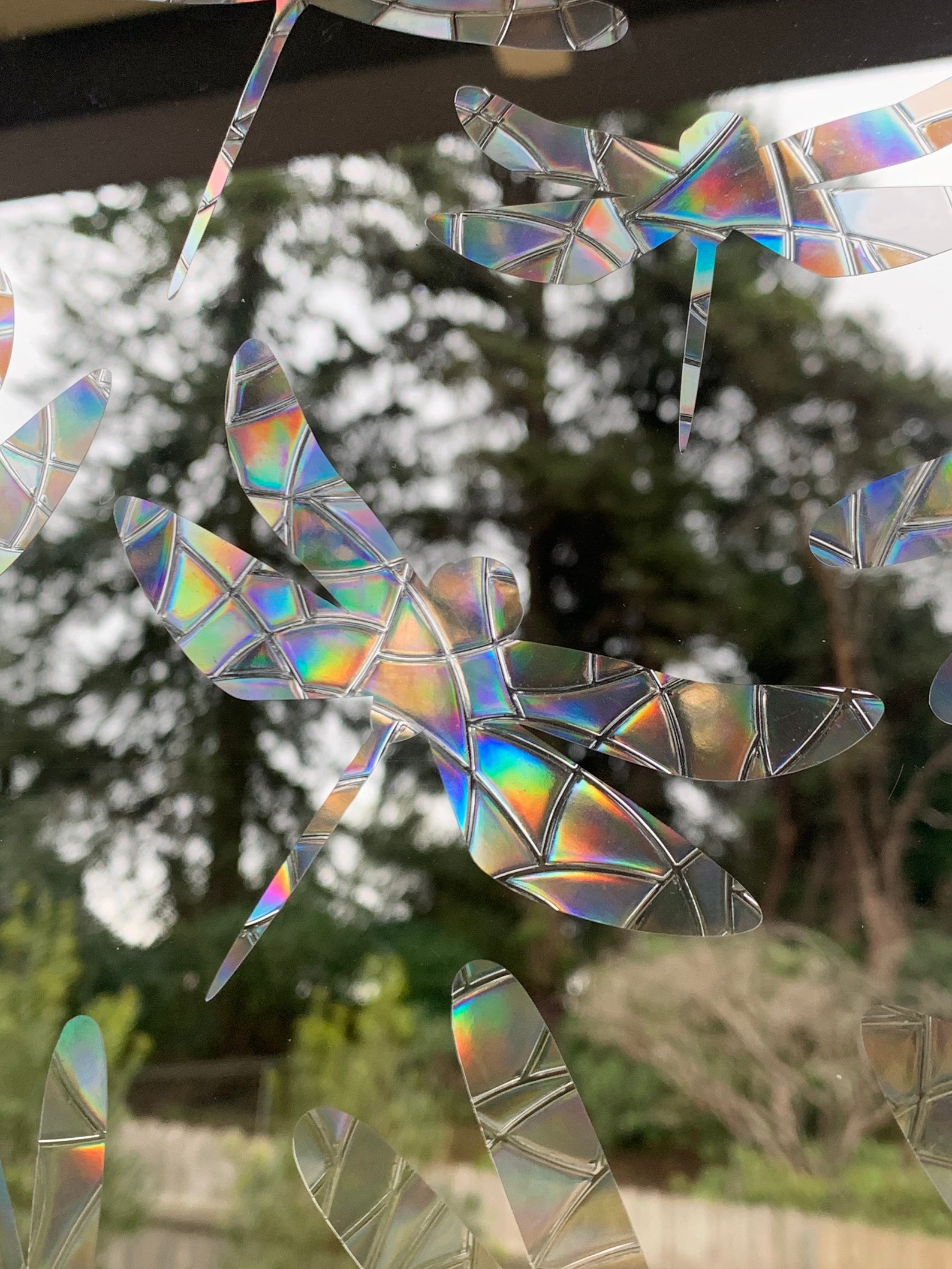 DragonFly Window Prisms Set of 12 // Rainbow Sticker // Prism Etsy