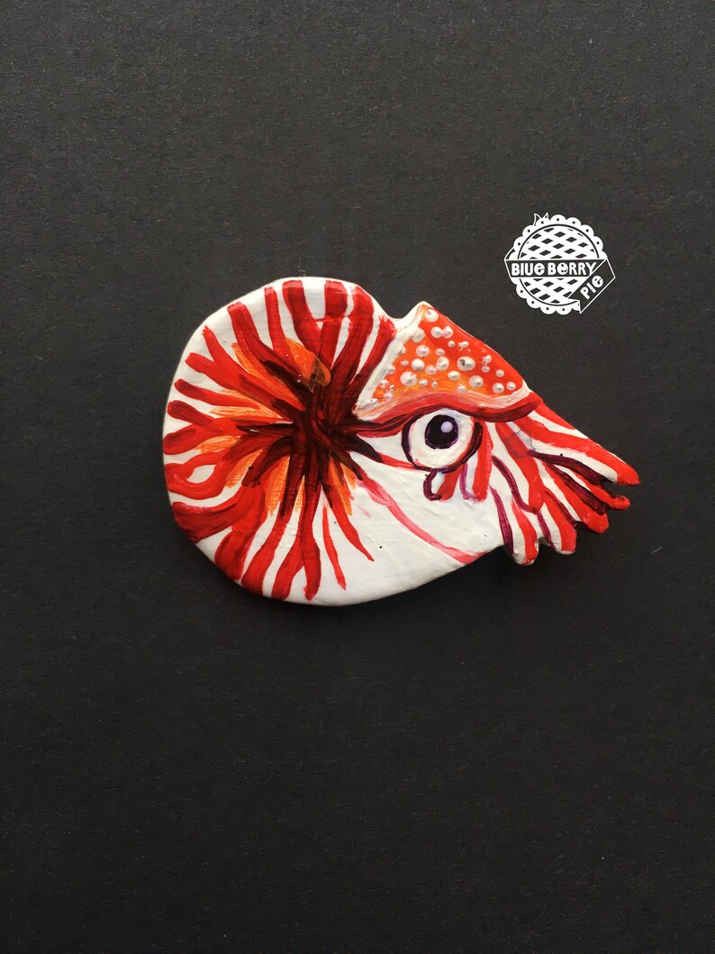 Nautilus clam clay brooch stone clay pin sea shell cute brooch polimer clay brooch ceramic pin