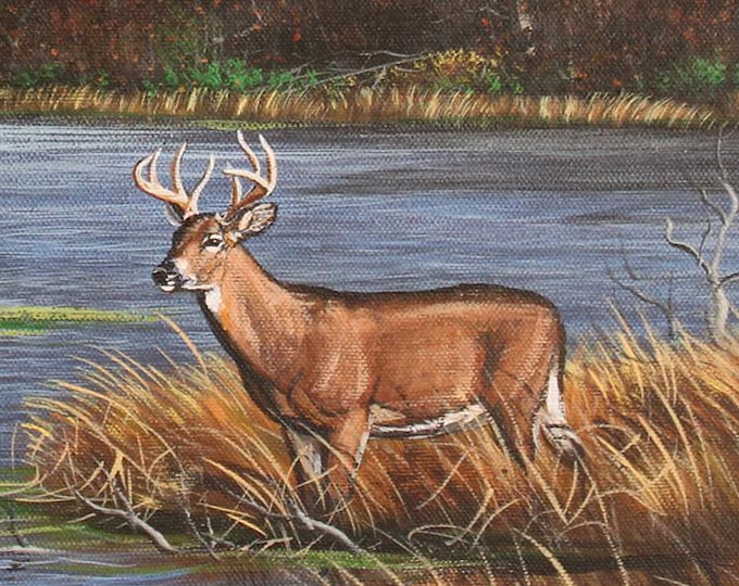 Wildlife Painting - "Shenandoah Retreat" (Poster)