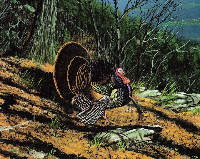 Wildlife Painting - "Shenandoah Strut" (Poster)