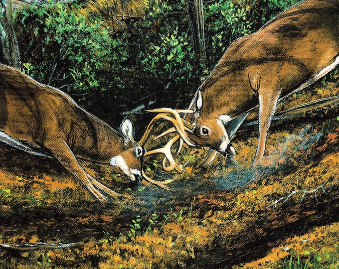 Wildlife Painting - "Blue Ridge Battleground" (Poster)